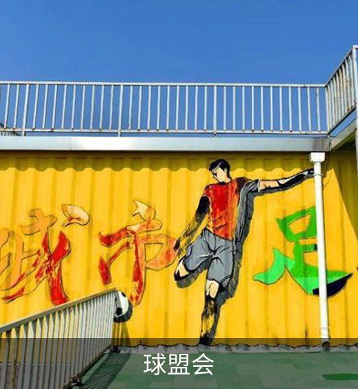 球盟会概况